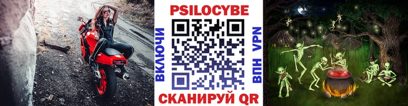 Галлюциногенные грибы прущие грибы  Купить  Райчихинск 